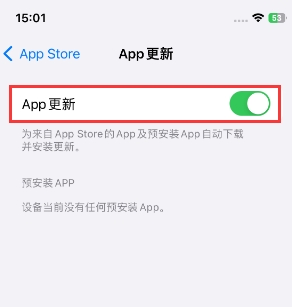 惠城苹果15维修中心如何让iPhone15APP自动更新