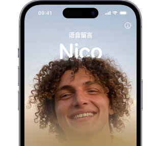 惠城苹果15服务站分享iPhone15实时语音留言开启方法 